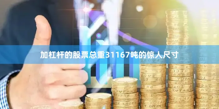 加杠杆的股票总重31167吨的惊人尺寸