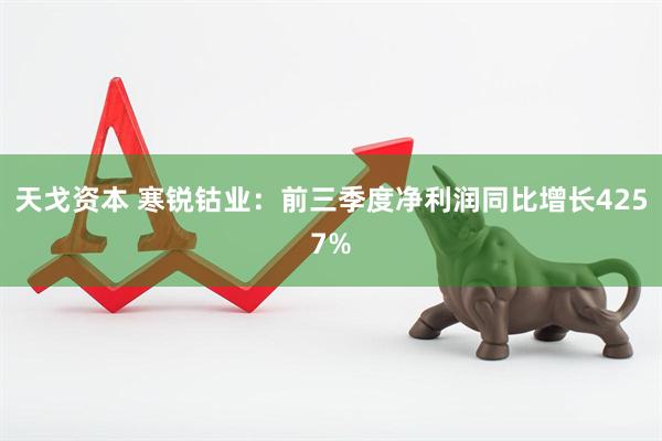 天戈资本 寒锐钴业：前三季度净利润同比增长4257%