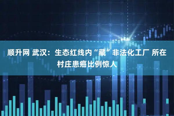 顺升网 武汉：生态红线内“藏”非法化工厂 所在村庄患癌比例惊人
