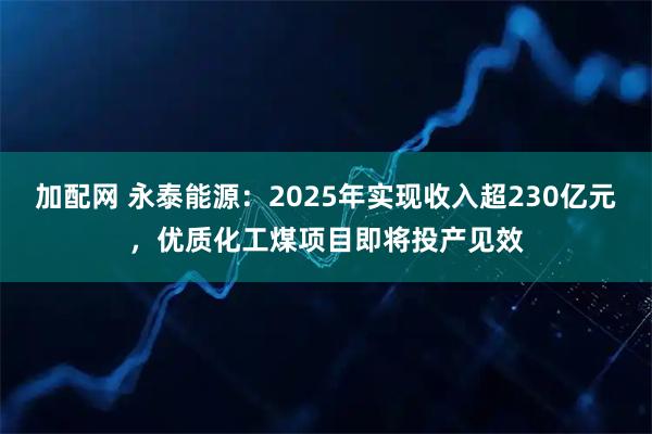 加配网 永泰能源：2025年实现收入超230亿元，优质化工煤项目即将投产见效