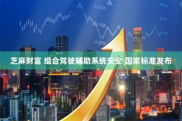 芝麻财富 组合驾驶辅助系统安全 国家标准发布