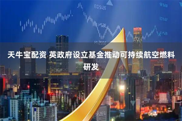 天牛宝配资 英政府设立基金推动可持续航空燃料研发